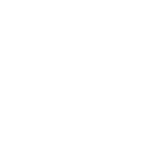 Icon 95 percent
